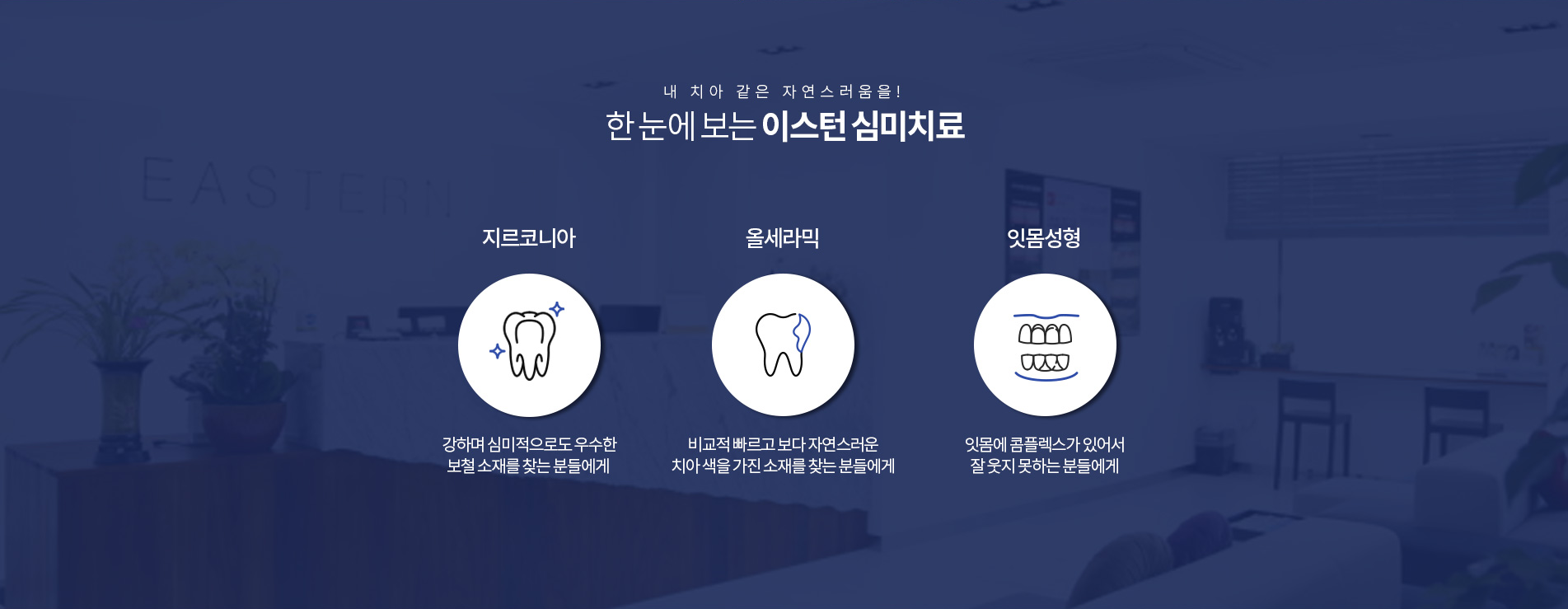 이스턴 심미치료 종류