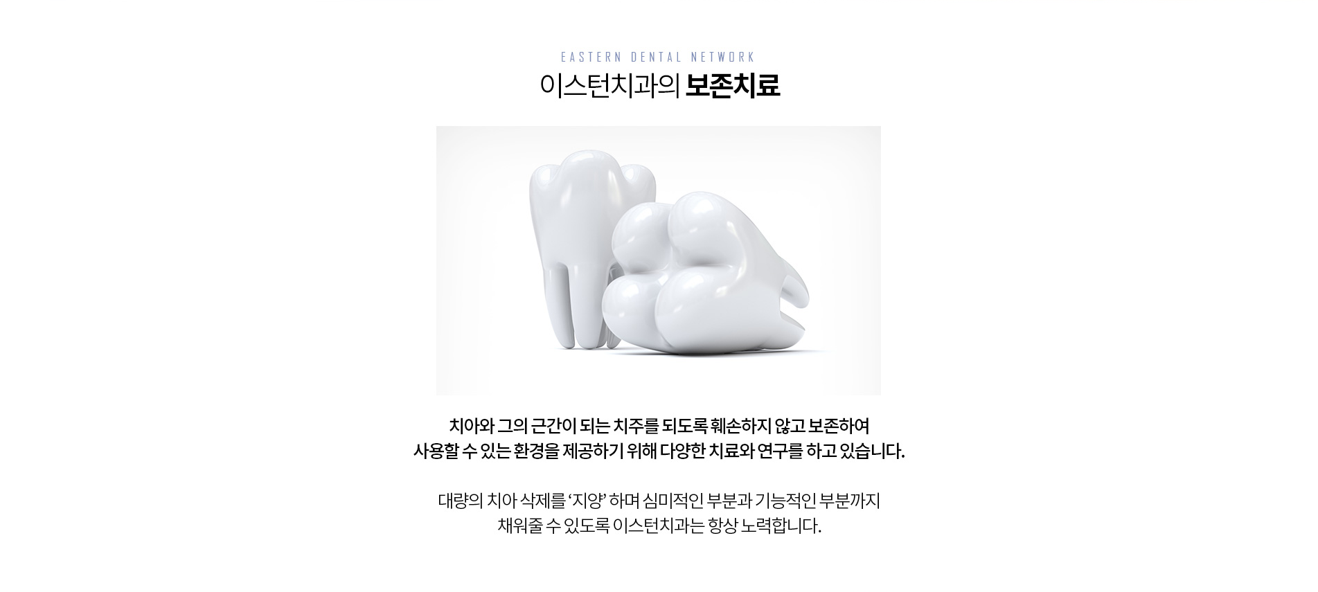이스턴치과 보존치료